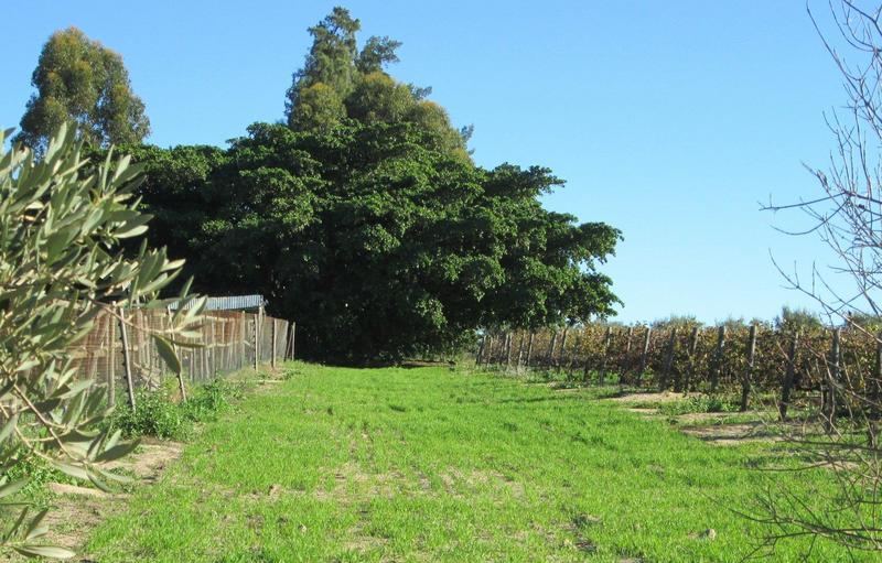 0 Bedroom Property for Sale in Wellington Western Cape